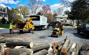 Best Sod Installation  in Santa Clara, OR